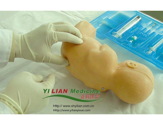 ������������ģ��