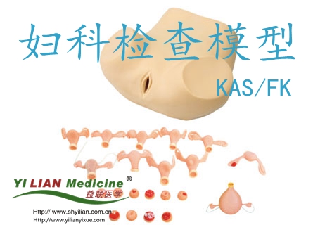 �D�ƙz��ģ��