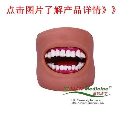 �߼���ǻ�o��ģ��