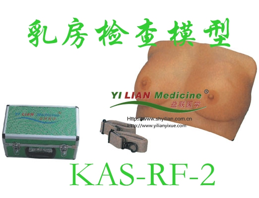 �鷿�z��ģ��