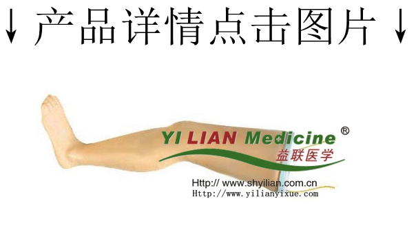 �߼��o�}ݔҺ��ģ��