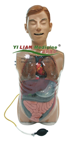 �๦��͸��ϴθģ��