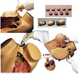 �߼��D�ƙz��ģ��