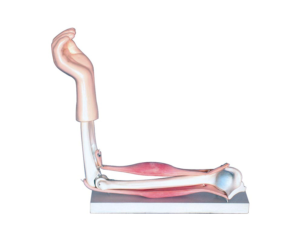 ���P��(ji��)