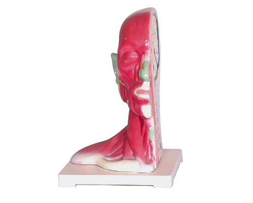 �^�����i���ֽ�