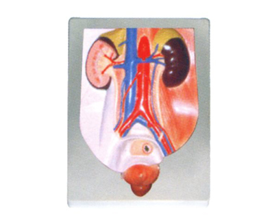 ��������ϵ�y(t��ng)ģ��