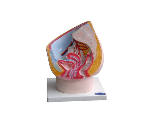 Ů����ǻʸ������