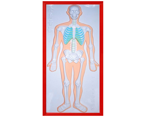 ����ϵ�y(t��ng)����ģ��