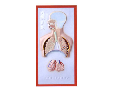 ����ϵ�y(t��ng)����ģ��