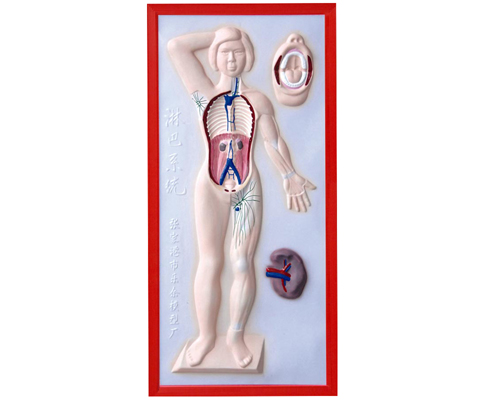 �ܰ�ϵ�y(t��ng)����ģ��