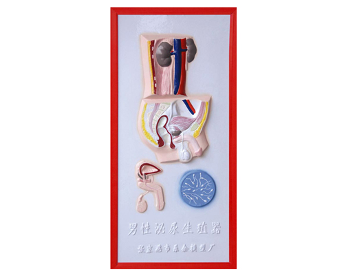 ����������ֳϵ�y(t��ng)����ģ��