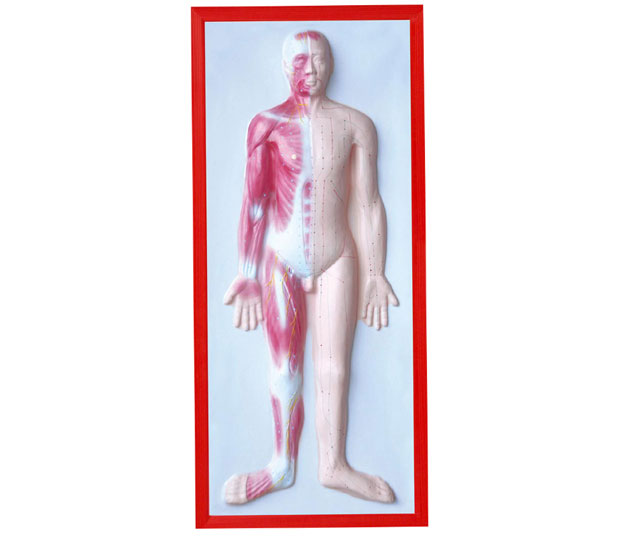 ���w���⸡��ģ��