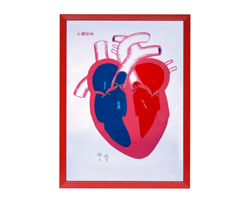 ���K���ʣ�ʾѪҺ���򣩸���ģ��