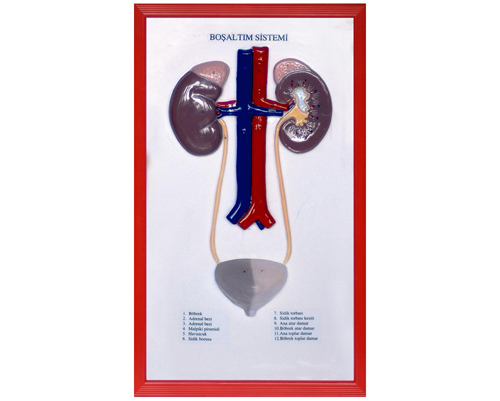 ����ϵ�y(t��ng)����ģ��1