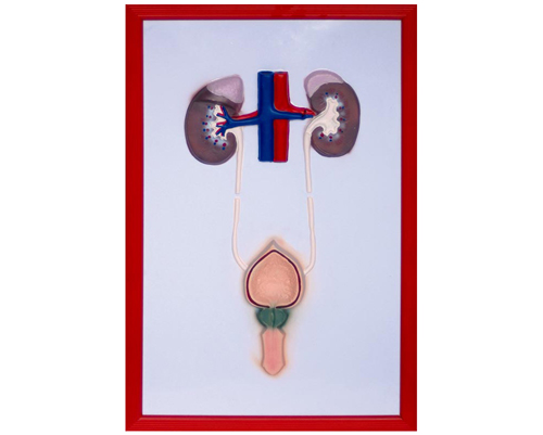 ����ϵ�y(t��ng)����ģ��2