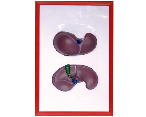 ���K����ģ��