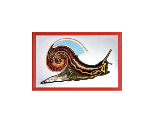 ΁ţ���ʸ���ģ��