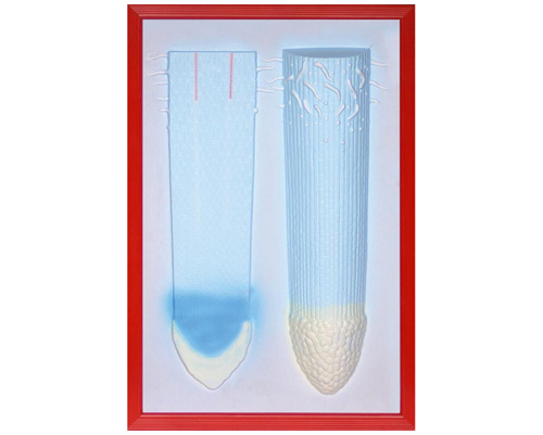 ���v���ʷŴ󸡵�ģ��