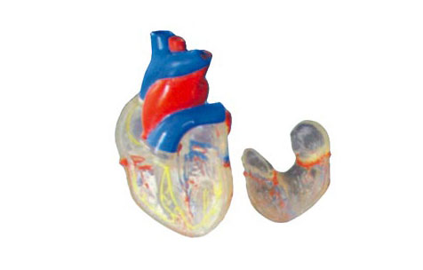 ͸�����K���ʣ���Ȼ��