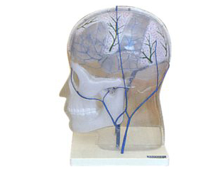 �B��(n��i)���o�}�Ǻ�ģ��