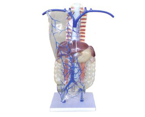 �T�o�}����֧ѭ�h(hu��n)