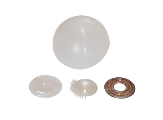 �����w����Ĥ����Ĥ�������w