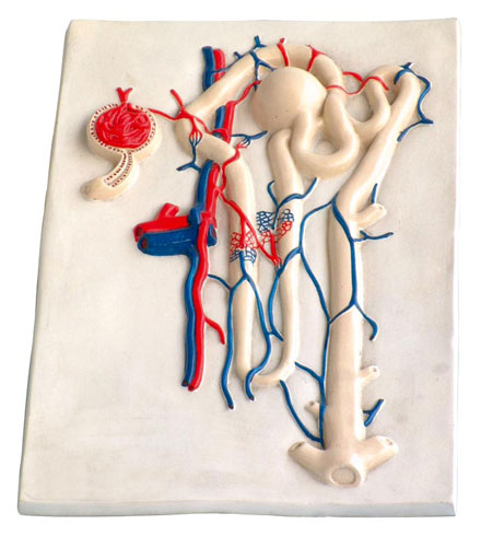 �I��λ�IС���㼚����3������