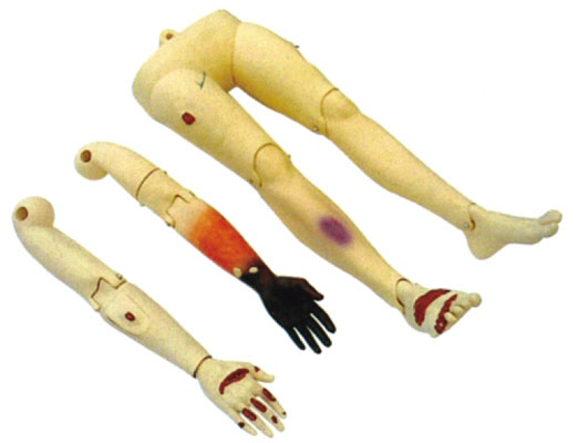 �߼�(j��)��(chu��ng)����֫ģ��