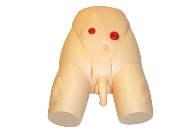 �߼����w���Ԍ�(d��o)��ģ��