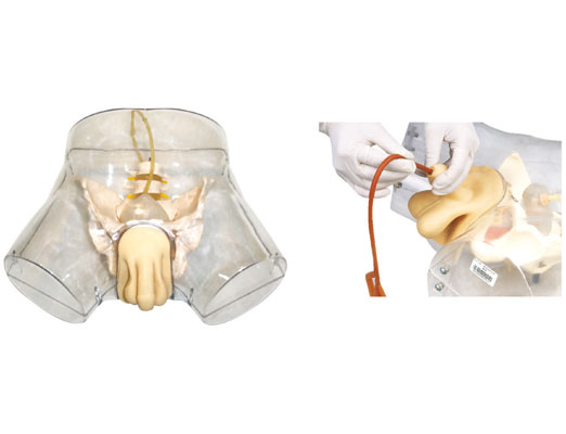 �߼�͸�����Ԍ�(d��o)��ģ��