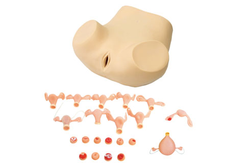 �߼��D�ƙz��ģ��