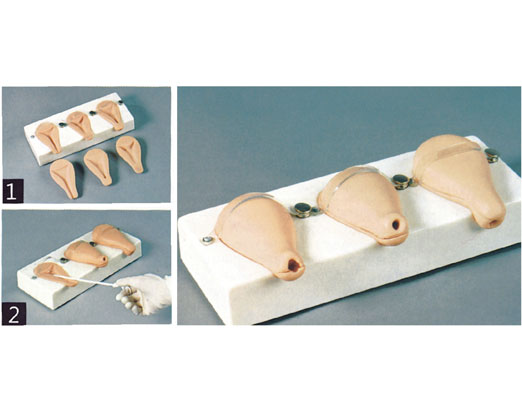 �߼�(j��)�˹����a(ch��n)ģ�M�ӌm