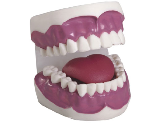 ���o(h��)������ģ�ͣ��Ŵ�2����