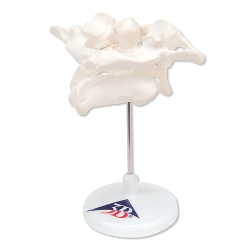 �h(hu��n)׵�͘�׵�M�ϣ����ڿɲ�ж����