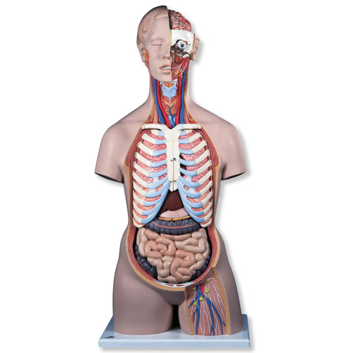 ����o���|��ģ�ͣ����_�ţ�21����