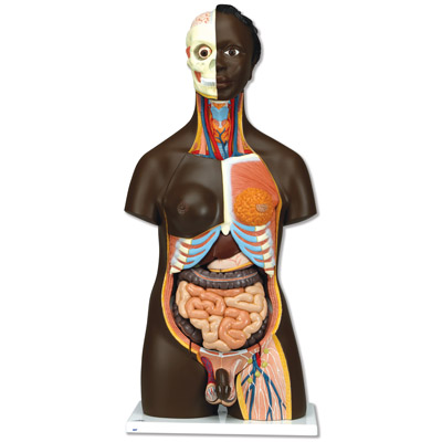 �������|�ɣ����ԣ�24����