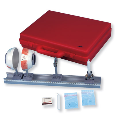 �w�z��ģ��