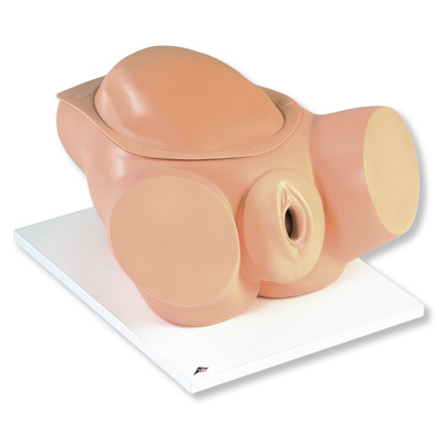 �냺����ģ�Mģ��