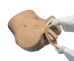 ������쯛�o��ģ�M�����Ժ�Ů��