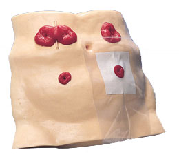 �쯛�g�o��ģ�M