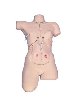 ��������ģ�M