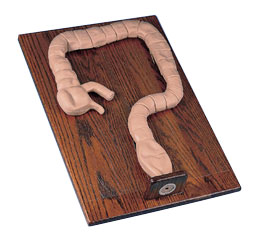 �Ҡ�Y�c�R�z��ģ�M