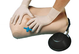 ����ģ�M��