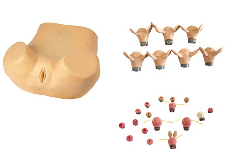 �߼��D�ƾC�ϙz�yӖ(x��n)��ģ��