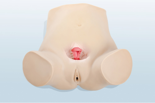 �D���ϭh(hu��n)��ȡ�h(hu��n)Ӗ(x��n)��ģ��