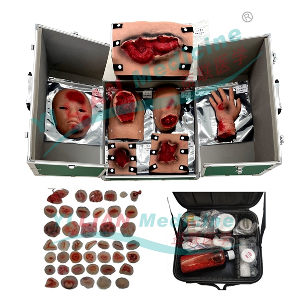 ����ʬF(xi��n)ģ�M����