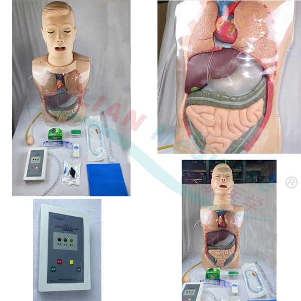 �๦��͸��ϴθӖ(x��n)��ģ��